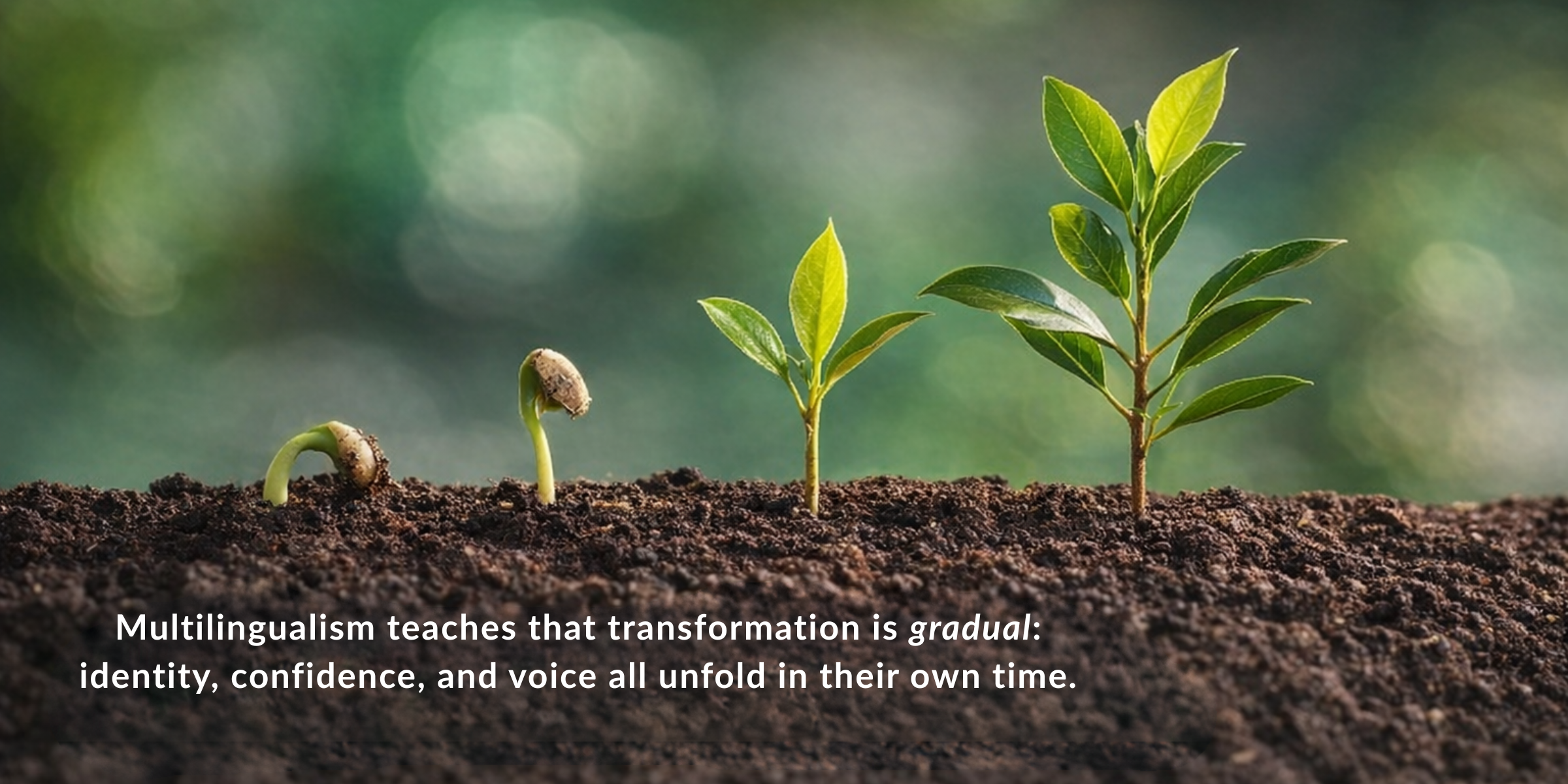 The Quiet Lessons of Multilingualism: On growth, identity, and learning to live with uncertainty